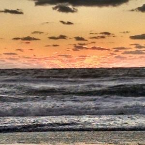 Meet your Posher, Noah